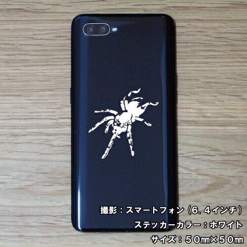 スパイダー ステッカー 01【5サイズ 全26色】【クモ くも 蜘蛛