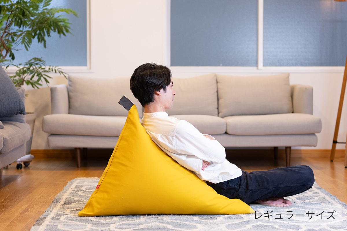 tetra 8号帆布 ビーズクッション テトラ 【レギュラーサイズ