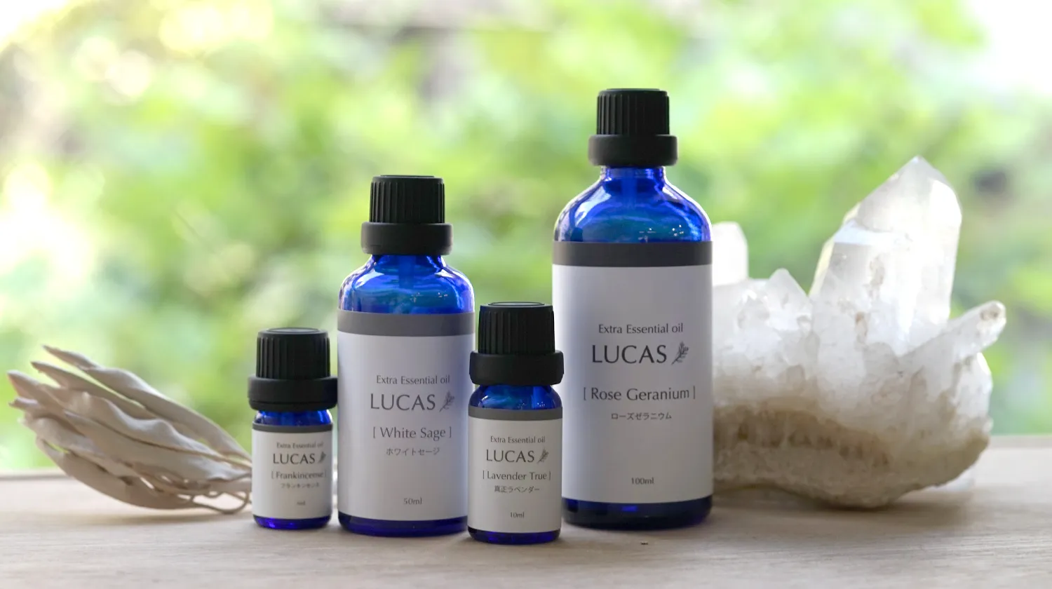 ペパーミント エッセンシャルオイル【集中力、爽快感】天然由来成分100