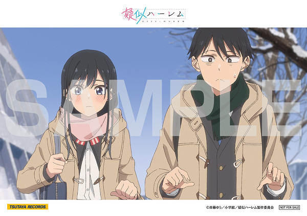 Blu-ray -TVアニメ「疑似ハーレム」公式サイト-