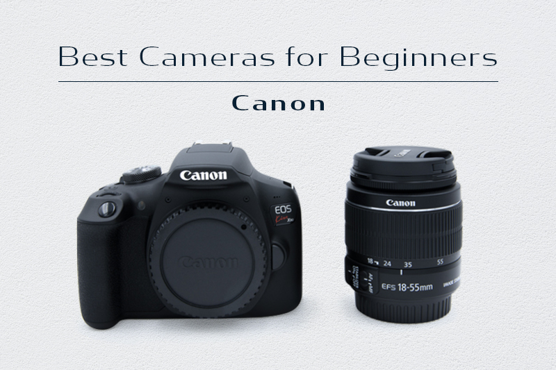 Canon初心者向けカメラおすすめ6選！失敗しない選び方とレンタル活用術
