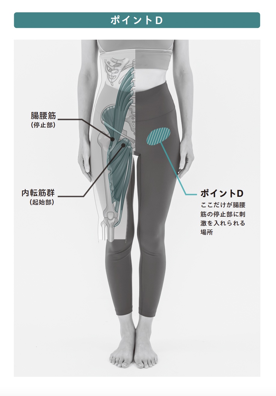 サッカー・吉田麻也を長年悩ませた股関節痛、突破口は腸腰筋の