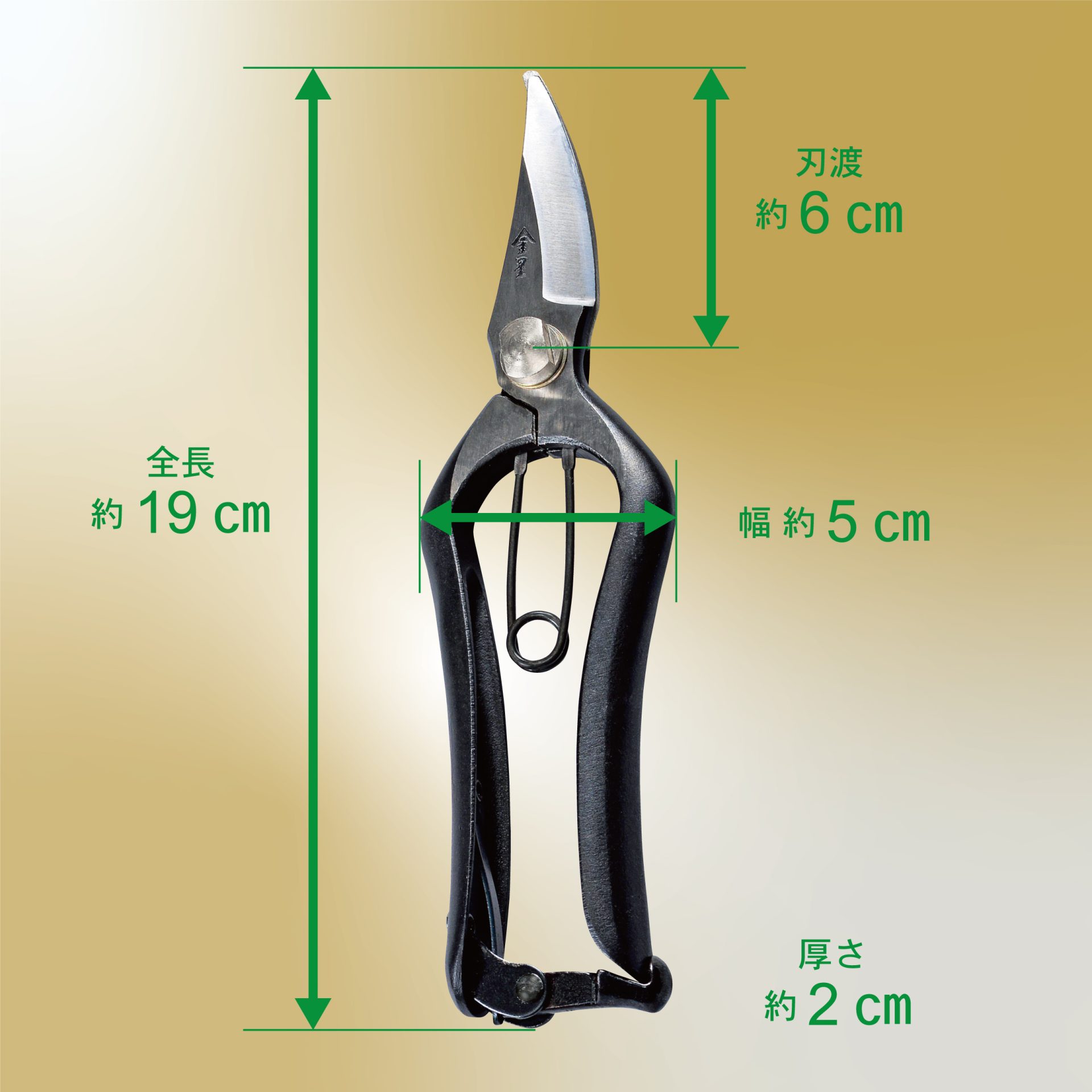2503 - キンボシ株式会社