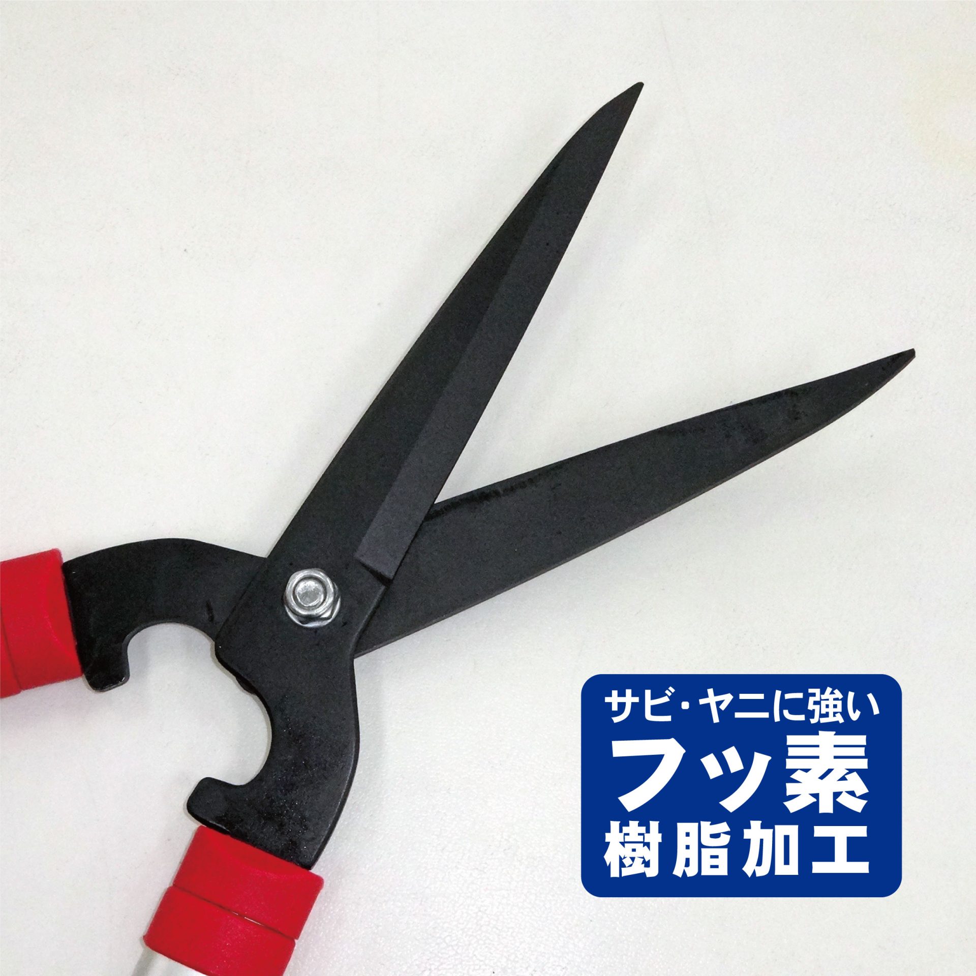 2021 - キンボシ株式会社