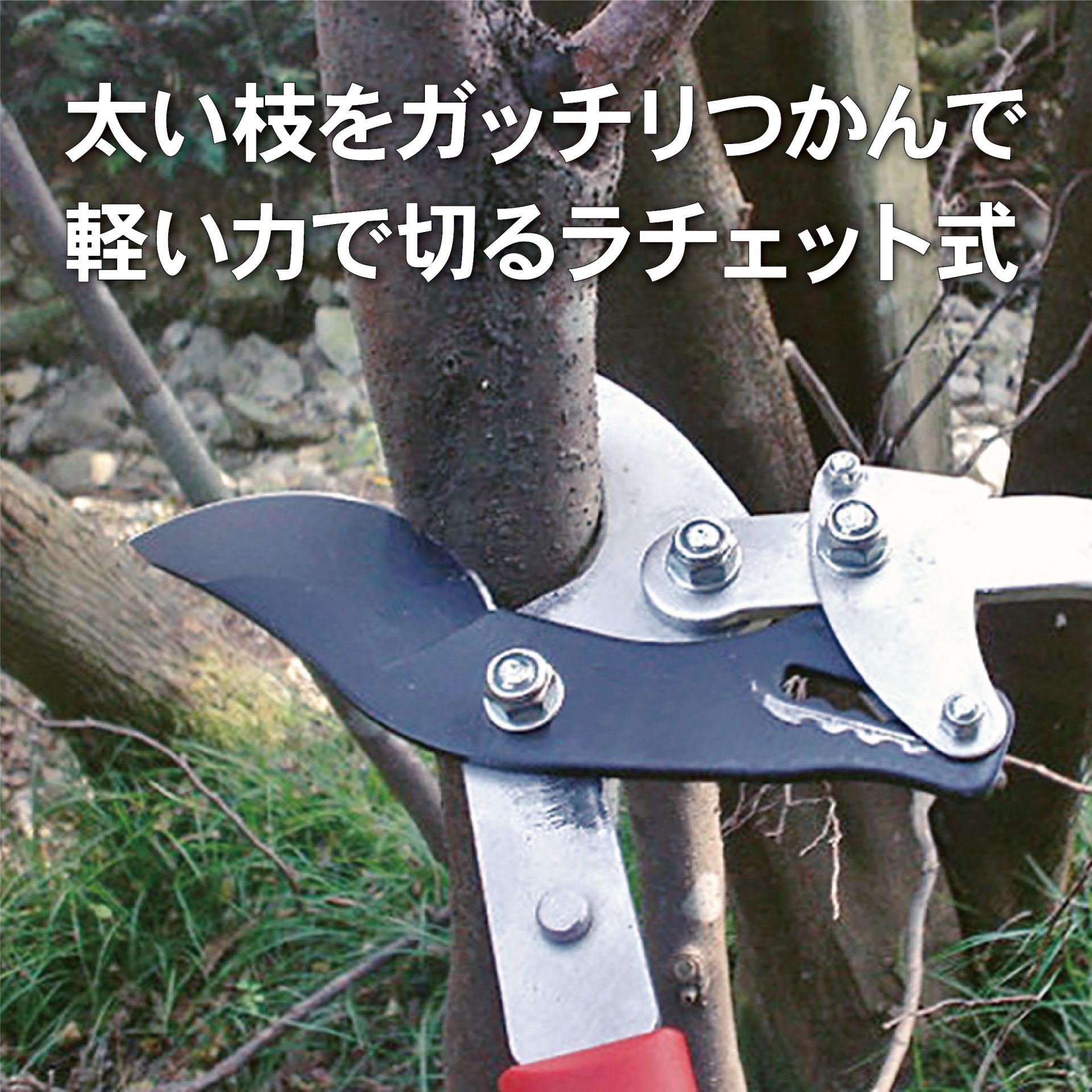 2044 - キンボシ株式会社