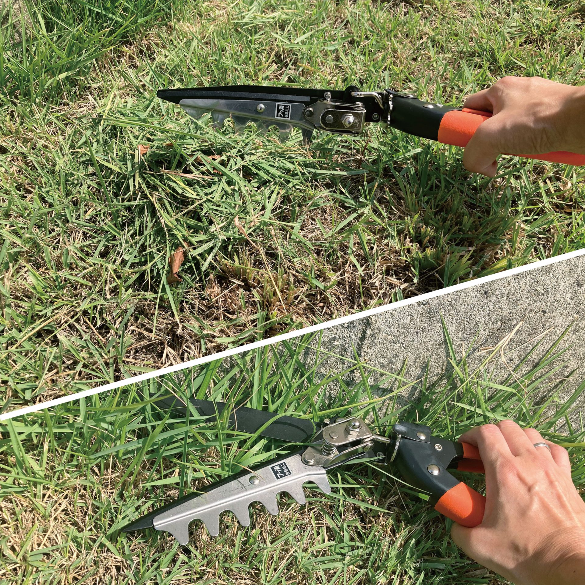 2103 - キンボシ株式会社