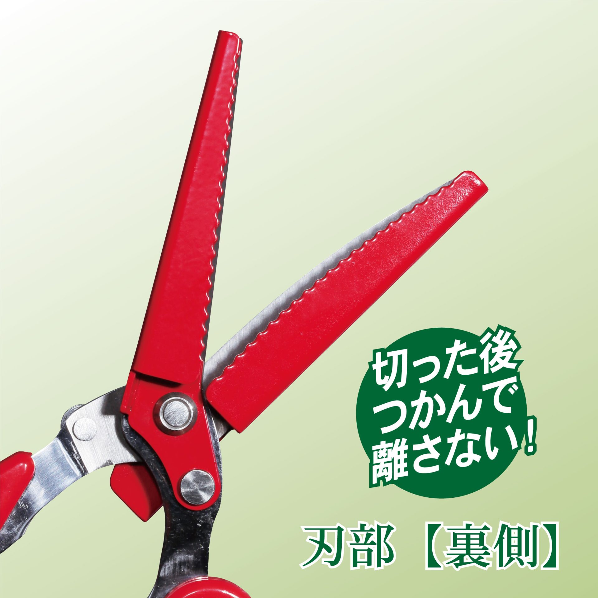 2319 - キンボシ株式会社