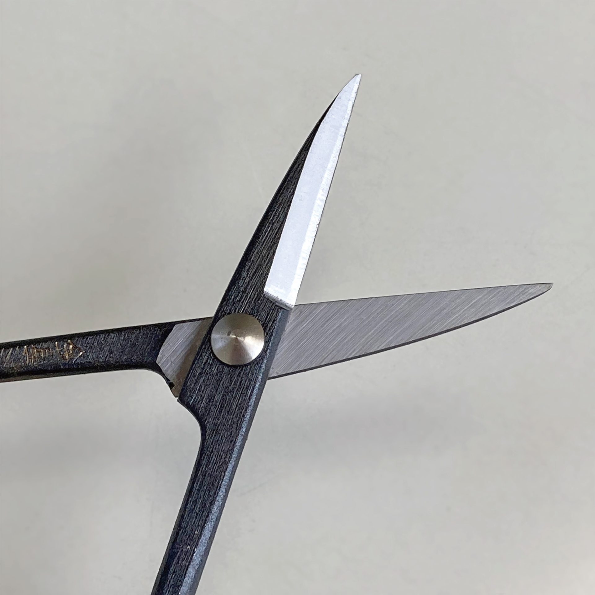 3006 - キンボシ株式会社