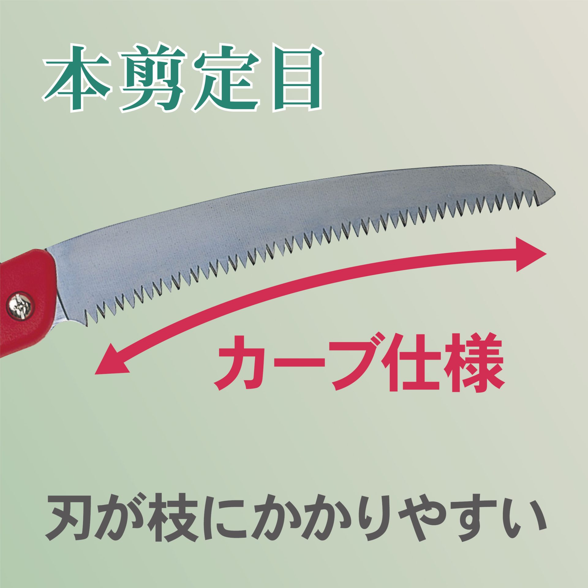 3196 - キンボシ株式会社