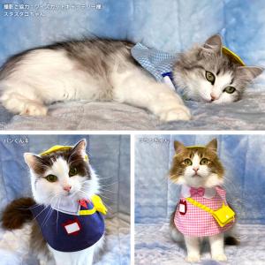 ゴロにゃんオリジナル 猫服 ワンタッチコーデシリーズ 幼稚園気分 M
