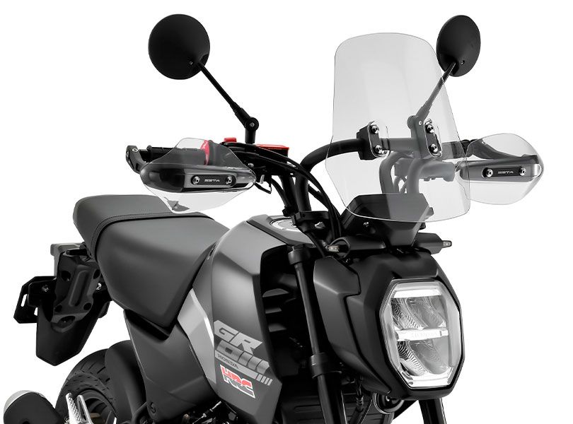 ZETA : Adventure Windshield Stock Screen [F6160]