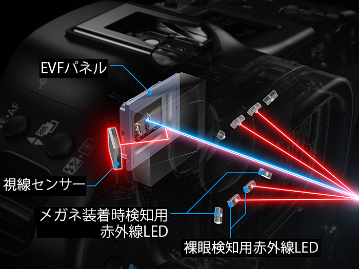EOS R3: 時代を超えて生まれ変わった視線入力。「見ているものに