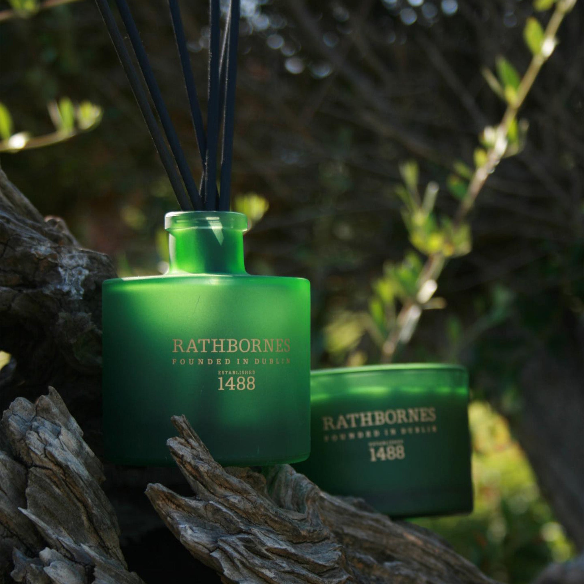 ダブリンリトリート／リードディフューザー – Gluxury