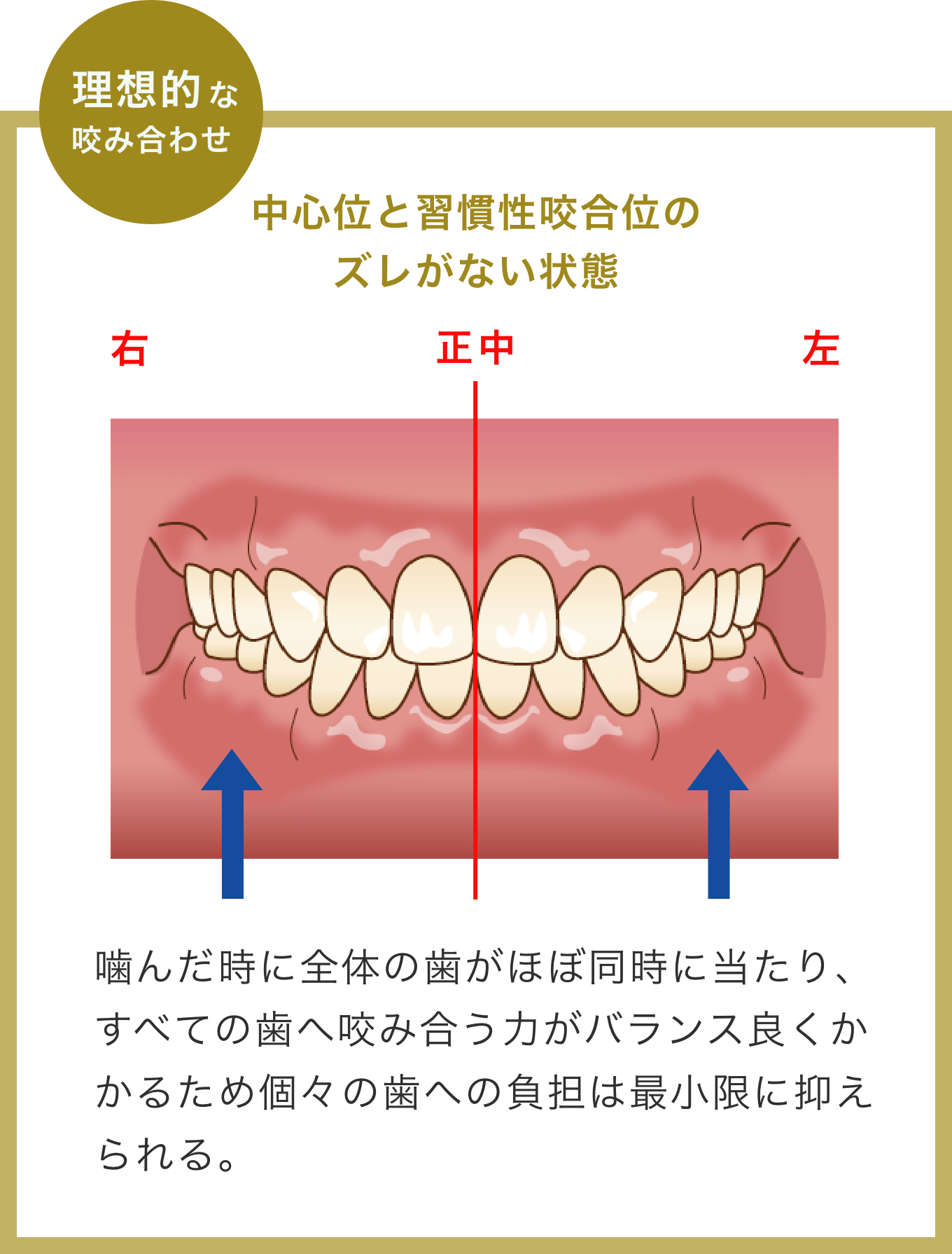 咬み合わせ認定医のハイクオリティな入れ歯｜難症例でもOK | グリーン
