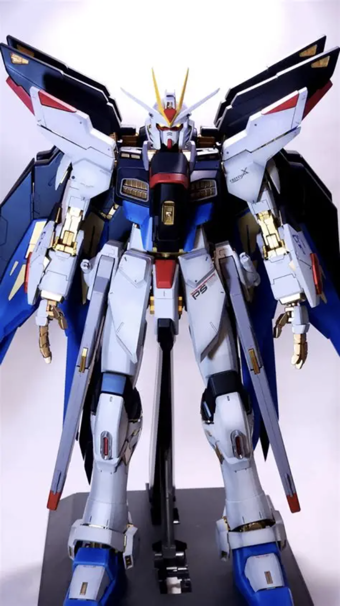 PG 1/60 ストライクフリーダムガンダム 素組 ジャンク ガンダムSEED