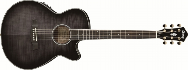 エレアコギター】IbanezよりAEG シリーズ 2013 年モデル発売