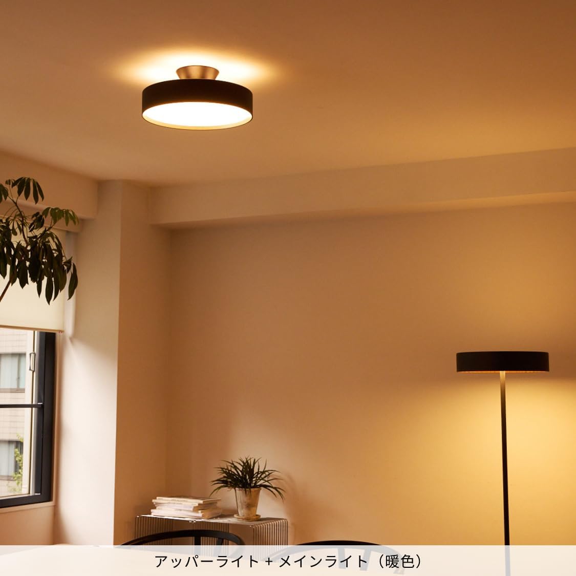 月額7,380円：アートワークスタジオ グロー LED シーリングライト4000