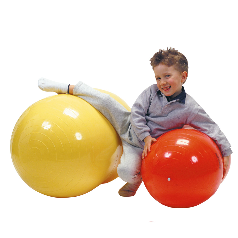 ギムニク｜ギムニクショップ公式サイト / GymnicPhysioRoll フィジオ