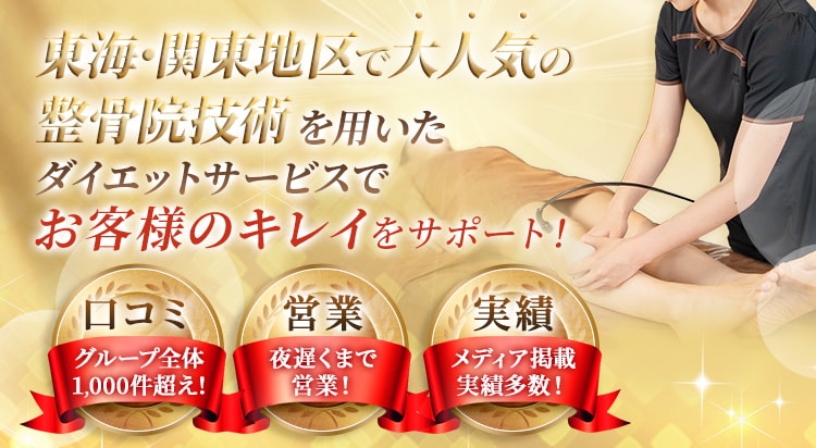 メニュー一覧｜静岡、浜松、高崎、名古屋、豊橋市エリアの痩身