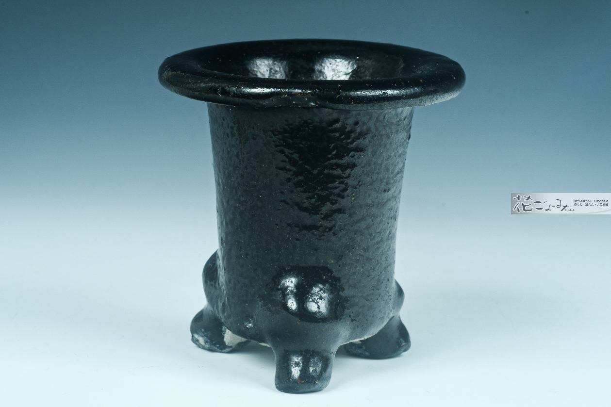 加茂黒釉京樂黒万年青古鉢【2,5寸】 - 東洋蘭専門店 花ごよみ | 春蘭