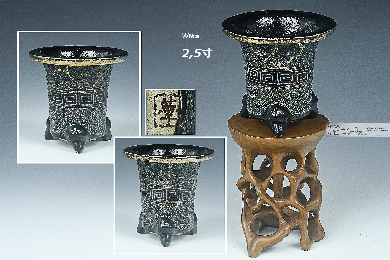 まるで古鉢！【古鉢写し京樂万年青錦鉢】2,5寸 - 東洋蘭専門店