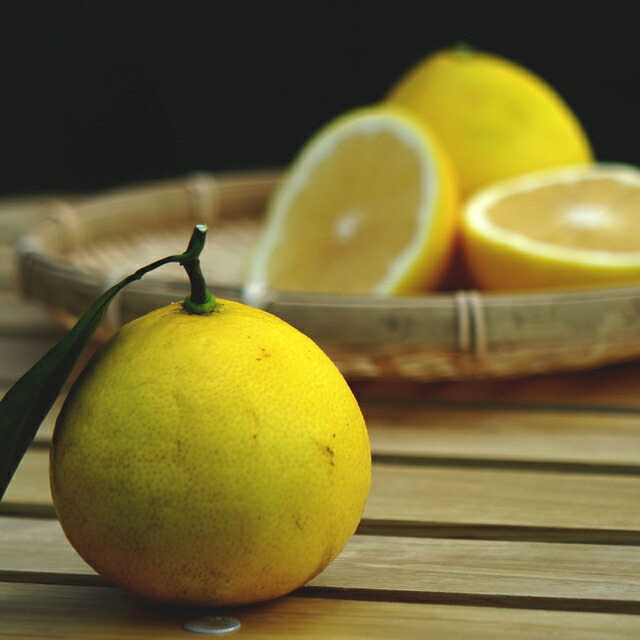 柑橘 オレンジ 種なし日向夏 苗 通販 苗木部 By 花ひろばオンライン