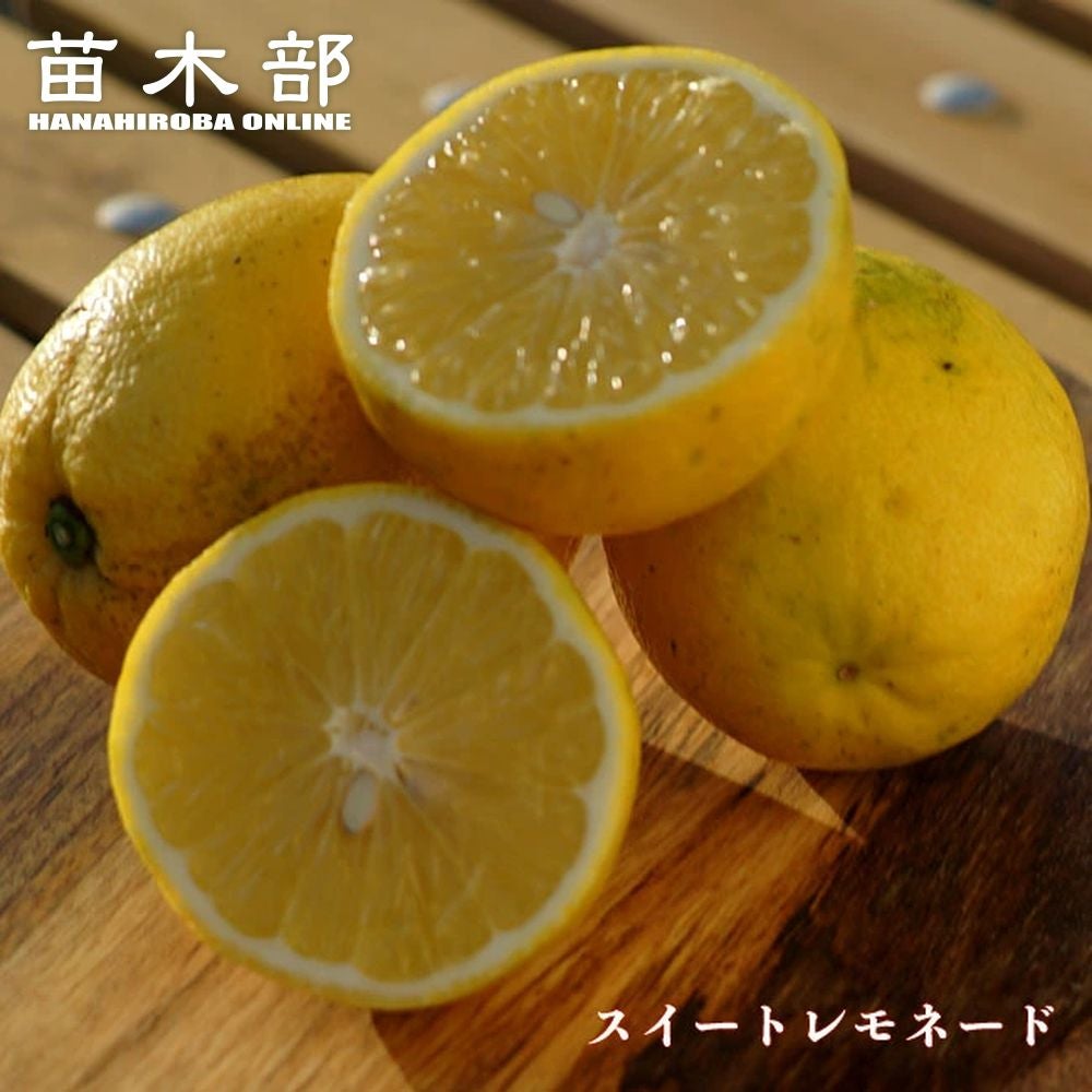 000000015902-01.jpg?size=l&w=