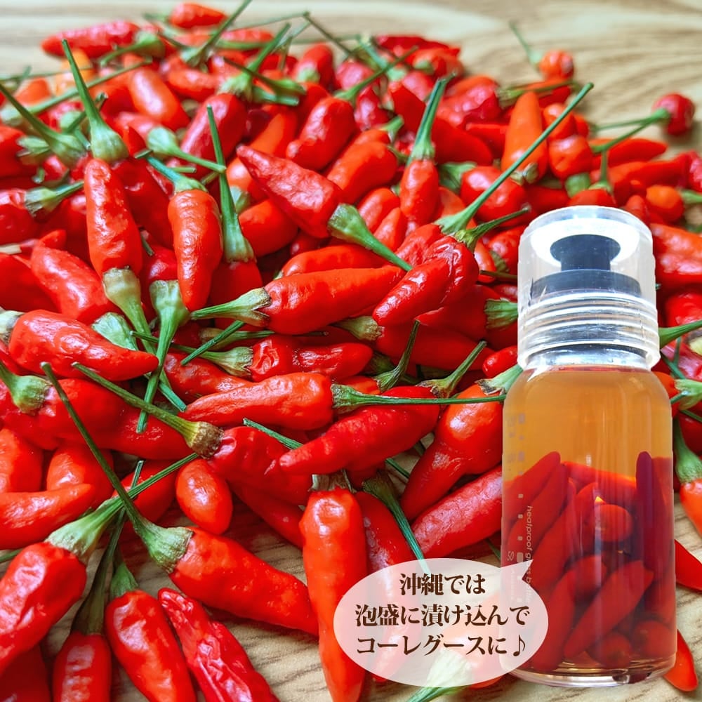 とうがらし 唐辛子 苗 販売 苗木部 By 花ひろばオンライン