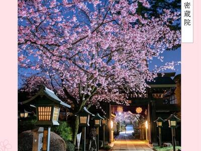 日本全国の花風景検索サイト【はなまっぷ】｜季節ごとの開花情報や