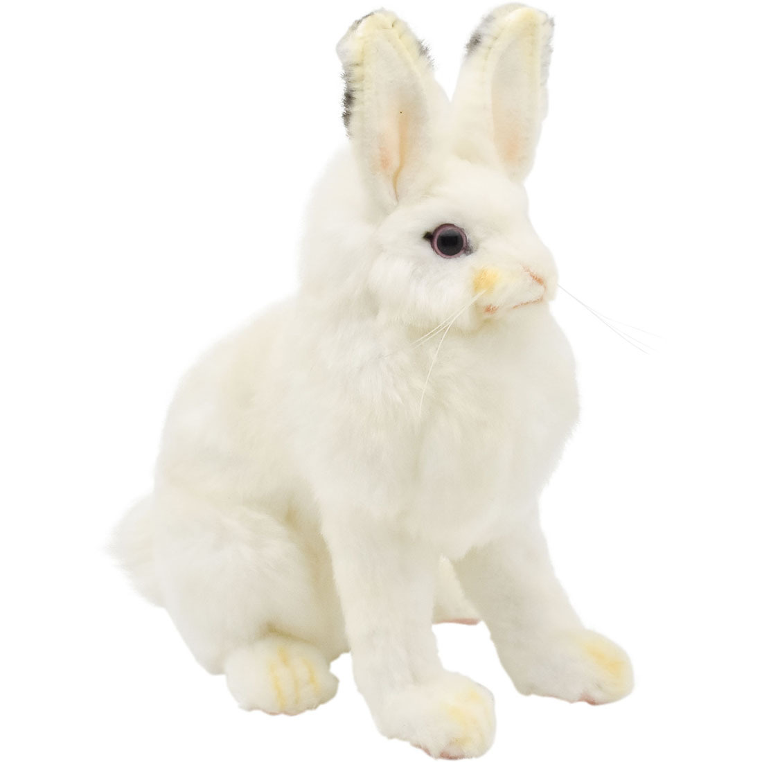 シロウサギ 18 | HANSA