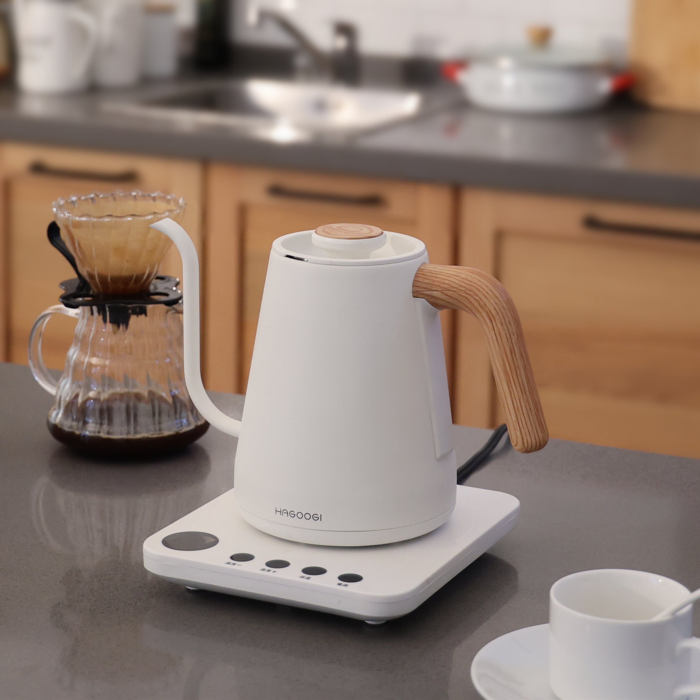 HAGOOGI(ハゴオギ) 電気ケトル 1.0L コーヒーポット 電気 ケトル