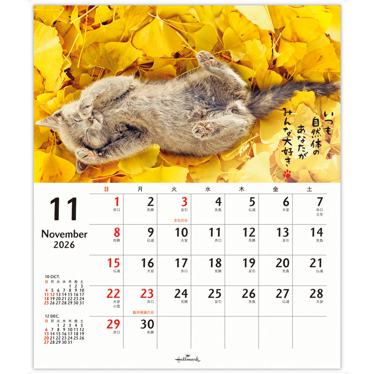 ほめにゃんこ【壁掛け・卓上｜リングカレンダー小 2026】日本ホール