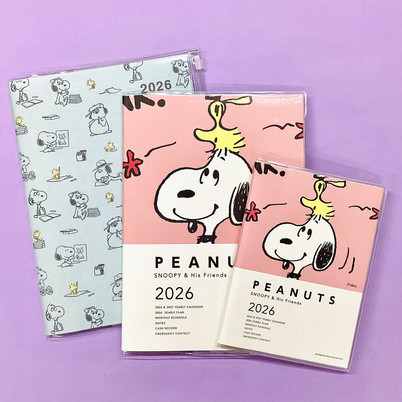 845667_10.jpg?v=1754269178&