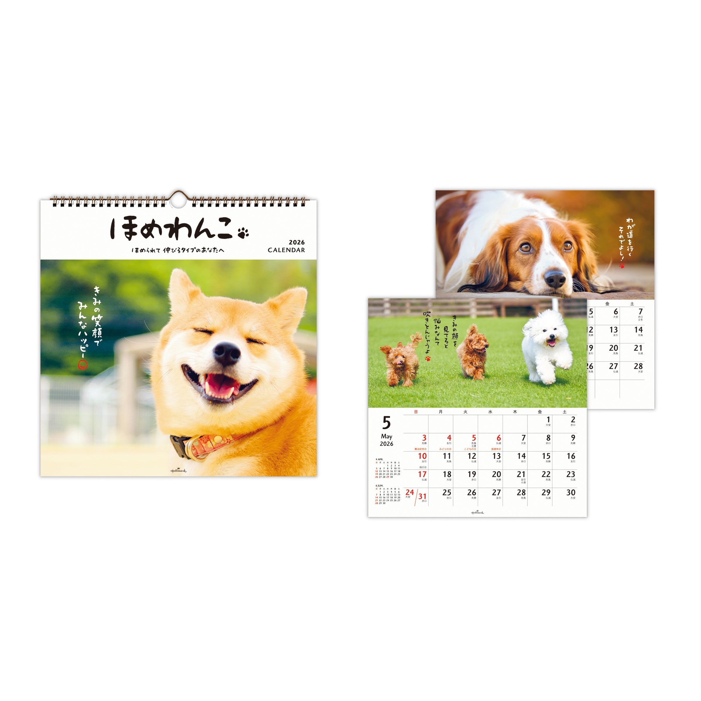 ほめわんこ【壁掛け｜リングカレンダー大 2026】日本ホールマークの