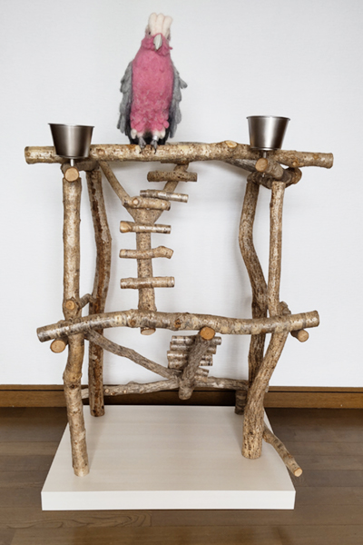 バードジムno502 鳥さんのストレス解消に