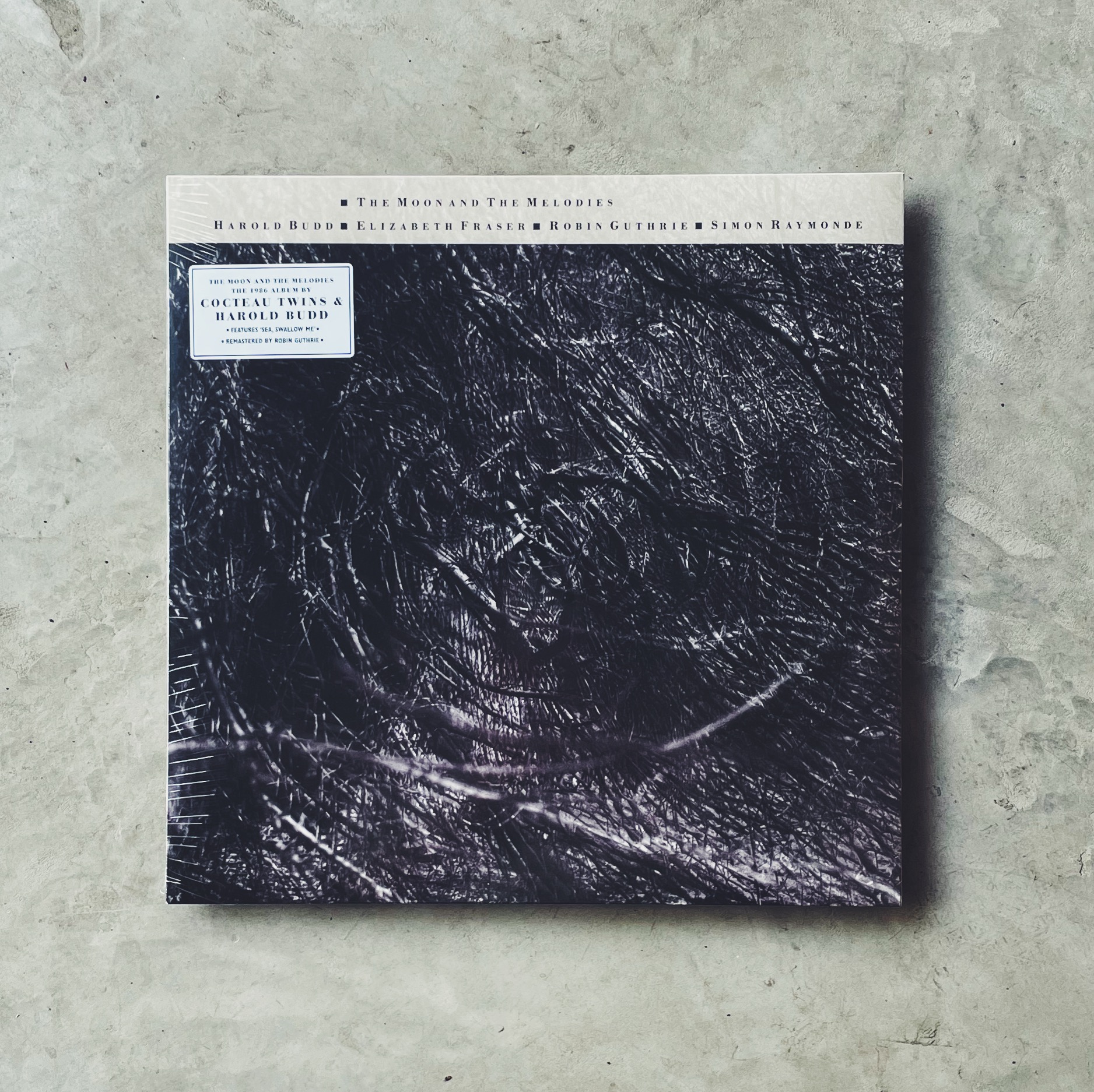 Cocteau Twins And Harold Budd – The Moon and the Melodies [LP