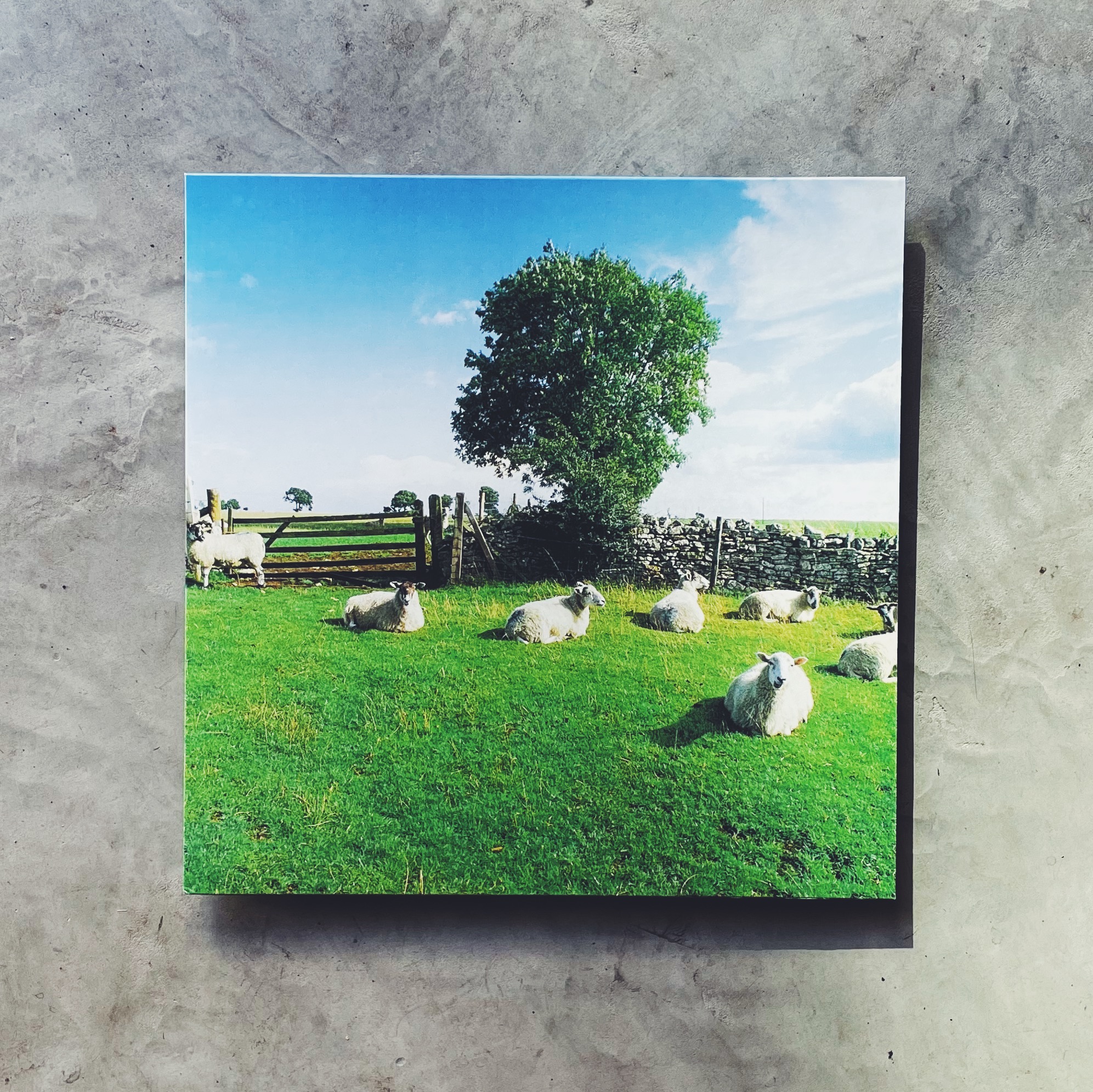KLF – Chill Out [LP_Color] - 春の雨 cafe & records