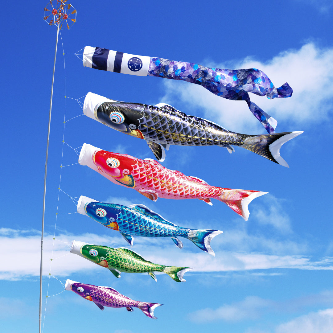 紫鯉 よろこびの鯉【千寿】単品鯉のぼり – 晴れと暮らす