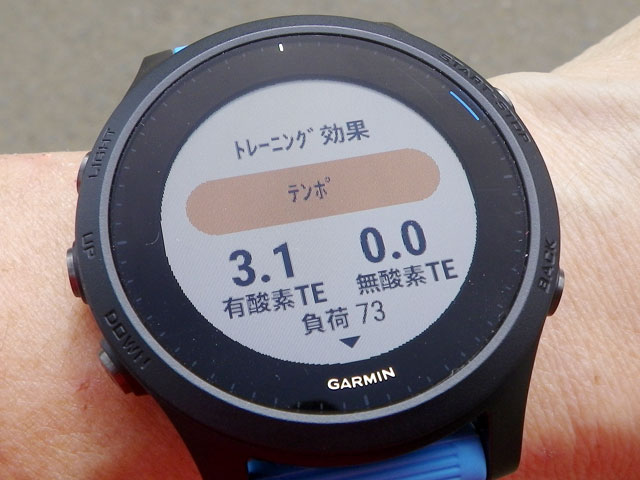 ガーミン ForeAthlete 945は 地図と稼働時間がスゴイ！ | ハッスル