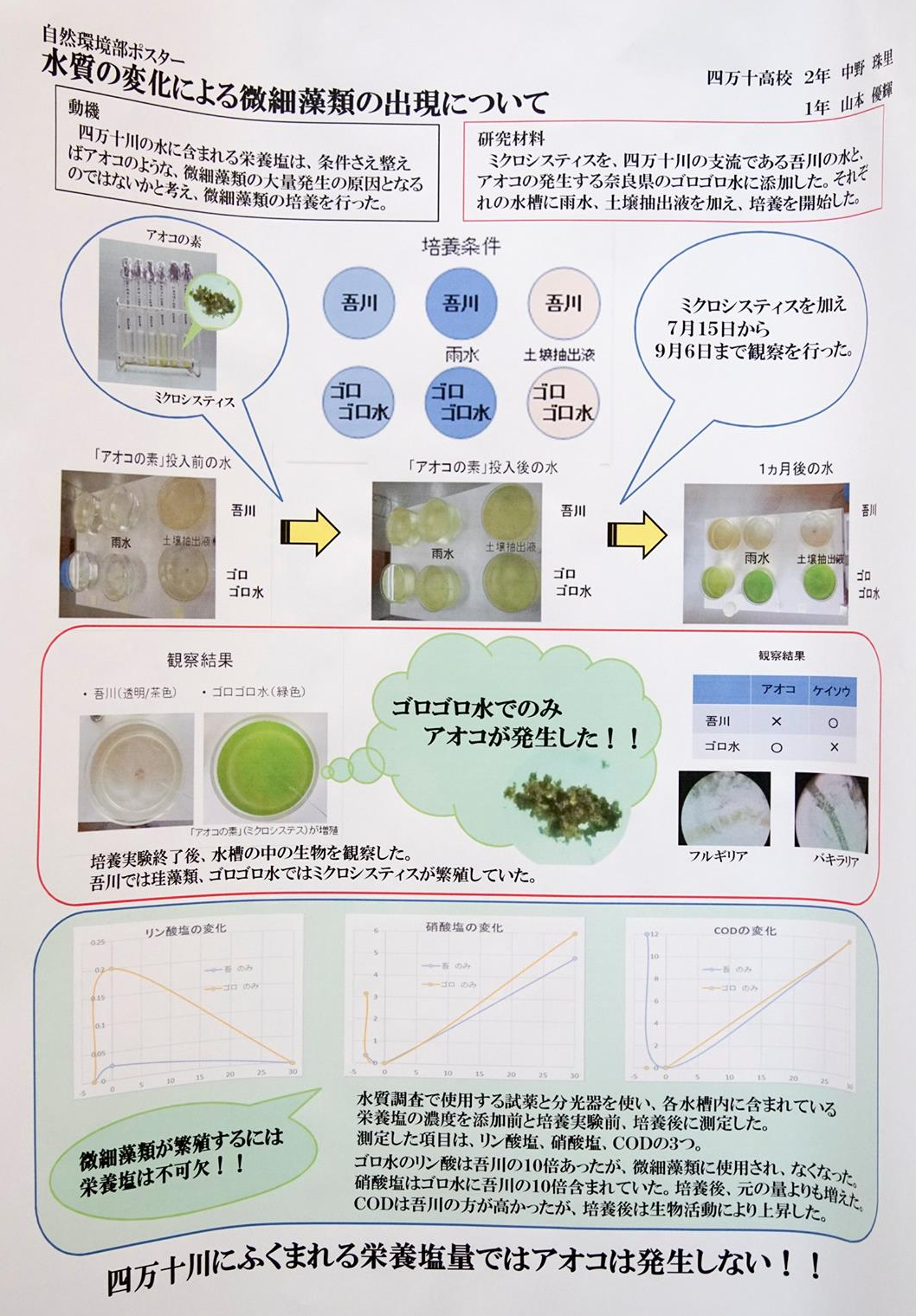 中野 珠里 NAKANO, Akari | はたのおと