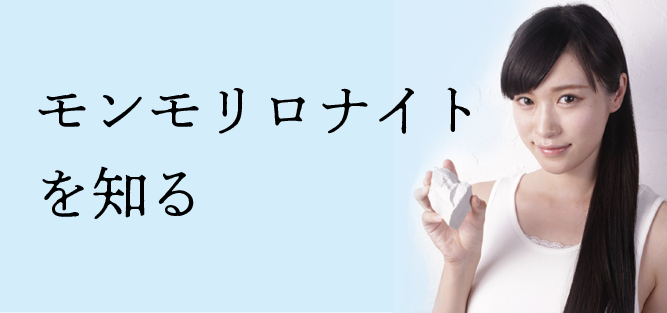 hbi｜美容カイロプラクティック » クレイウォッシュフォーム