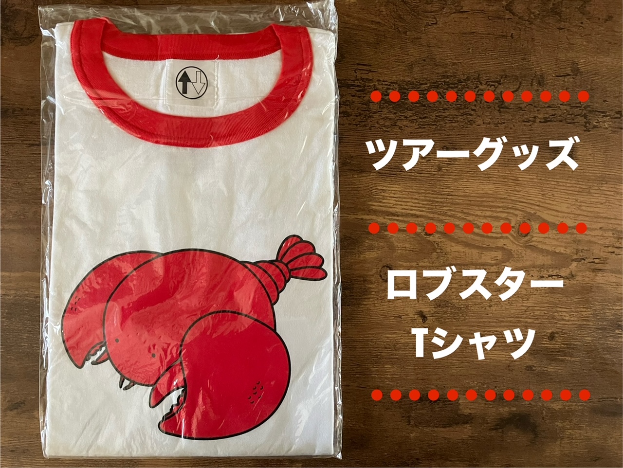 THE HIGH-LOWS/ロブスター】襲撃!!第一希望しか認めないロックのパワー