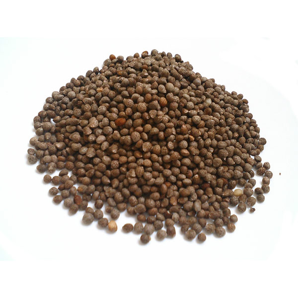 エゴマの実について | 飛騨えごま本舗