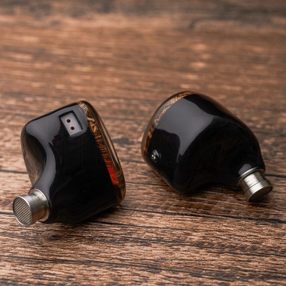 DUNU x Gizaudio DaVinci 2DD+4BA Hybrid In-Ear Earphones