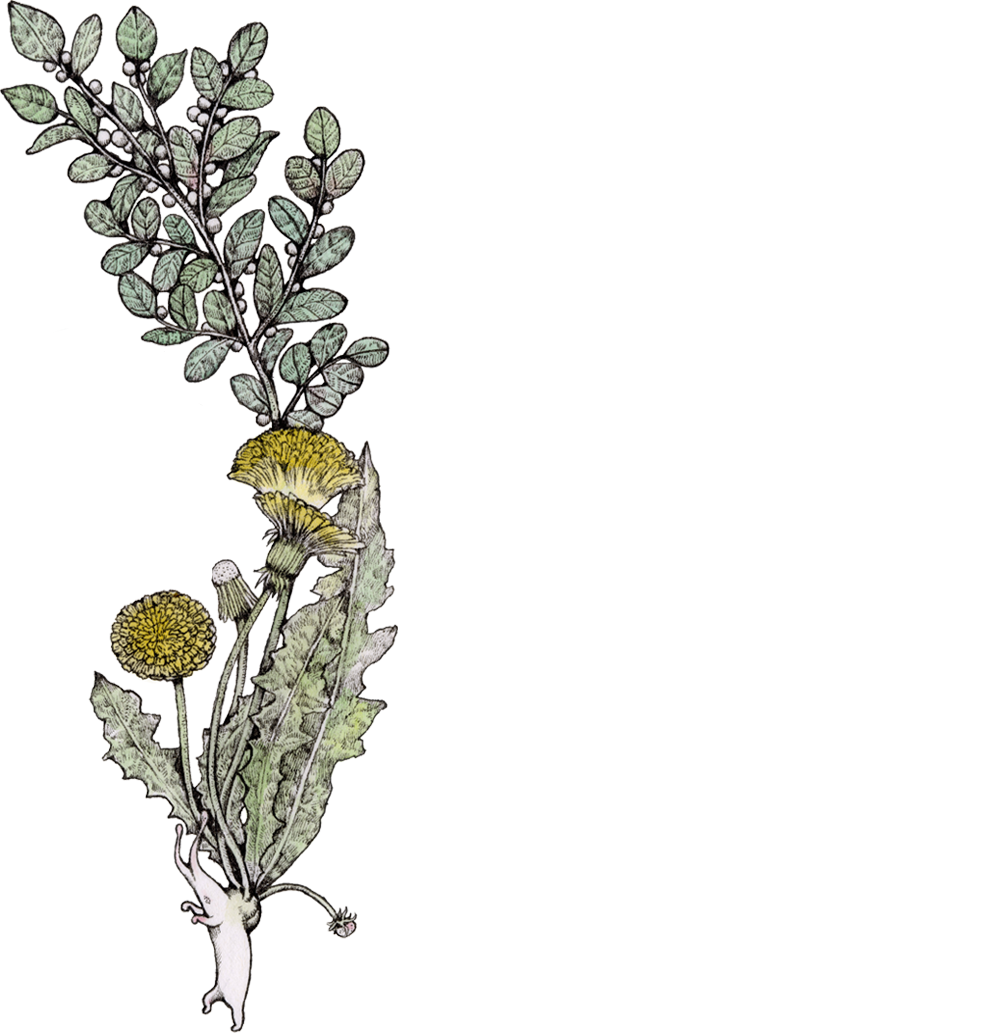 映画『ダンサー・イン・ザ・ダーク』オルタナティブポスター