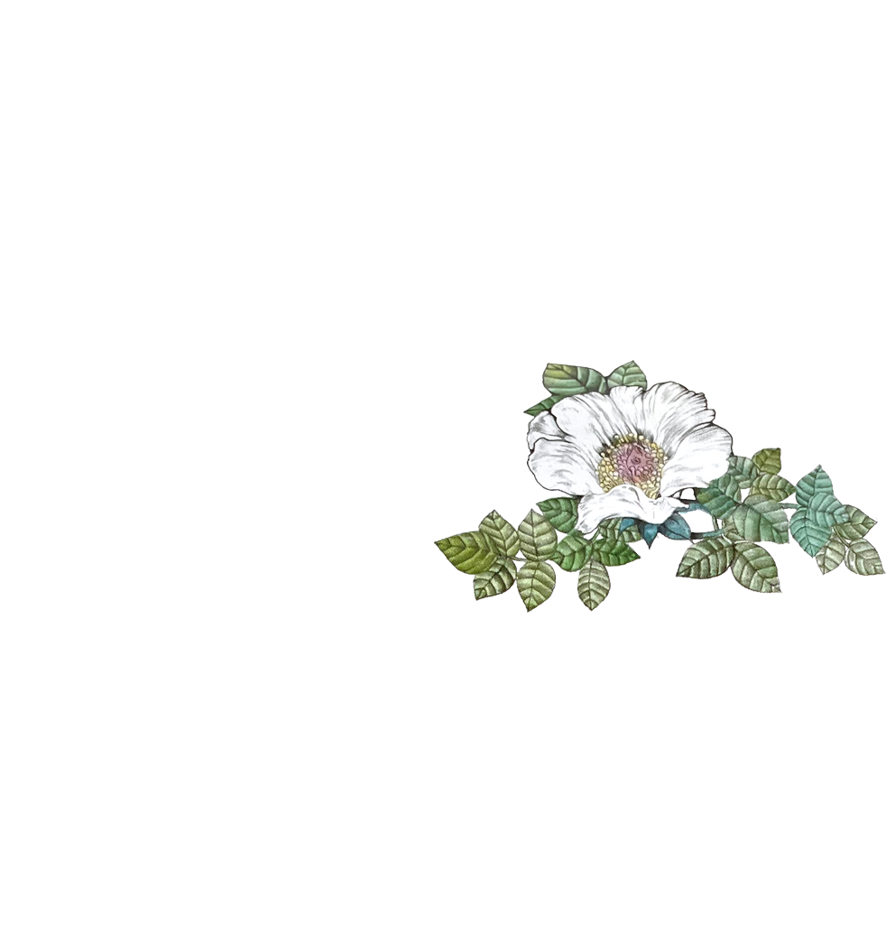 画集『COLLECTION OF WORKS 2023(SPECIAL EDITION) Heart/BORIS