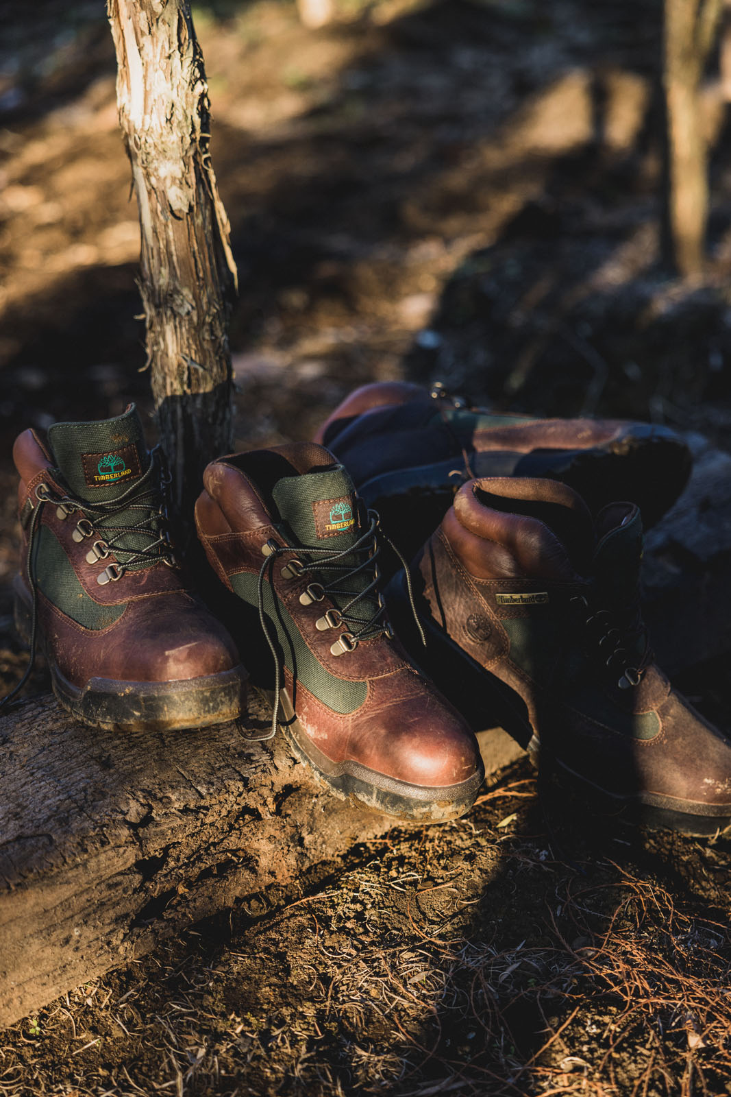 BEAMS × Timberland、フィールドブーツから別注仕様が登場