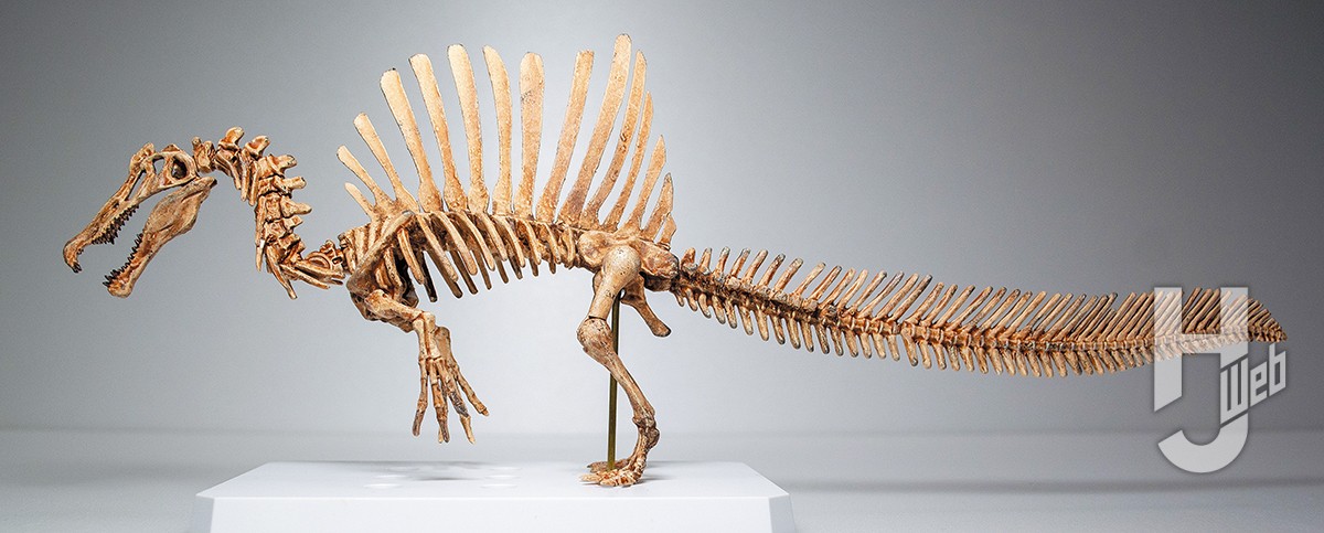 ジュラシックワールド』等で話題の「スピノサウルス」を最新復元