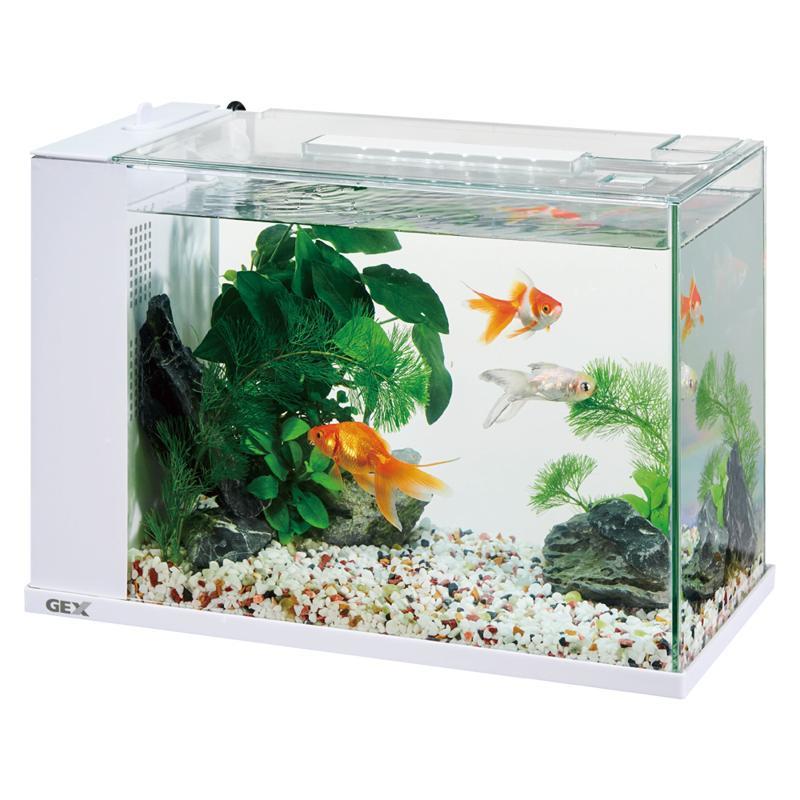 GEX HOURS ホワイト ホームアクアリウム アワーズ 白 フィルター