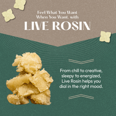 Trio Pack - Absolute Gummies | Hometown Hero